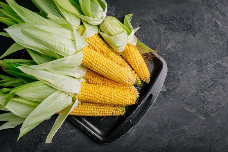 4110 Great Northern Popcorn Kernel